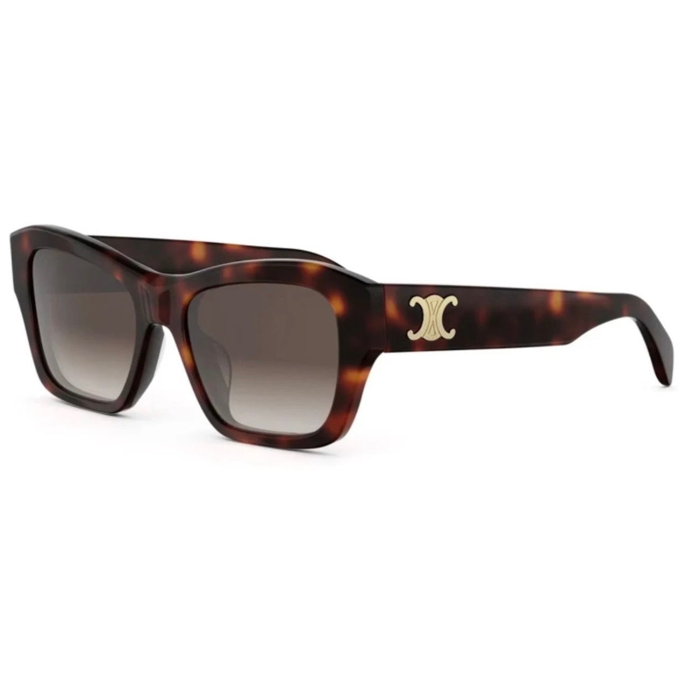 Celine CL 40330U 52F Tort Grad