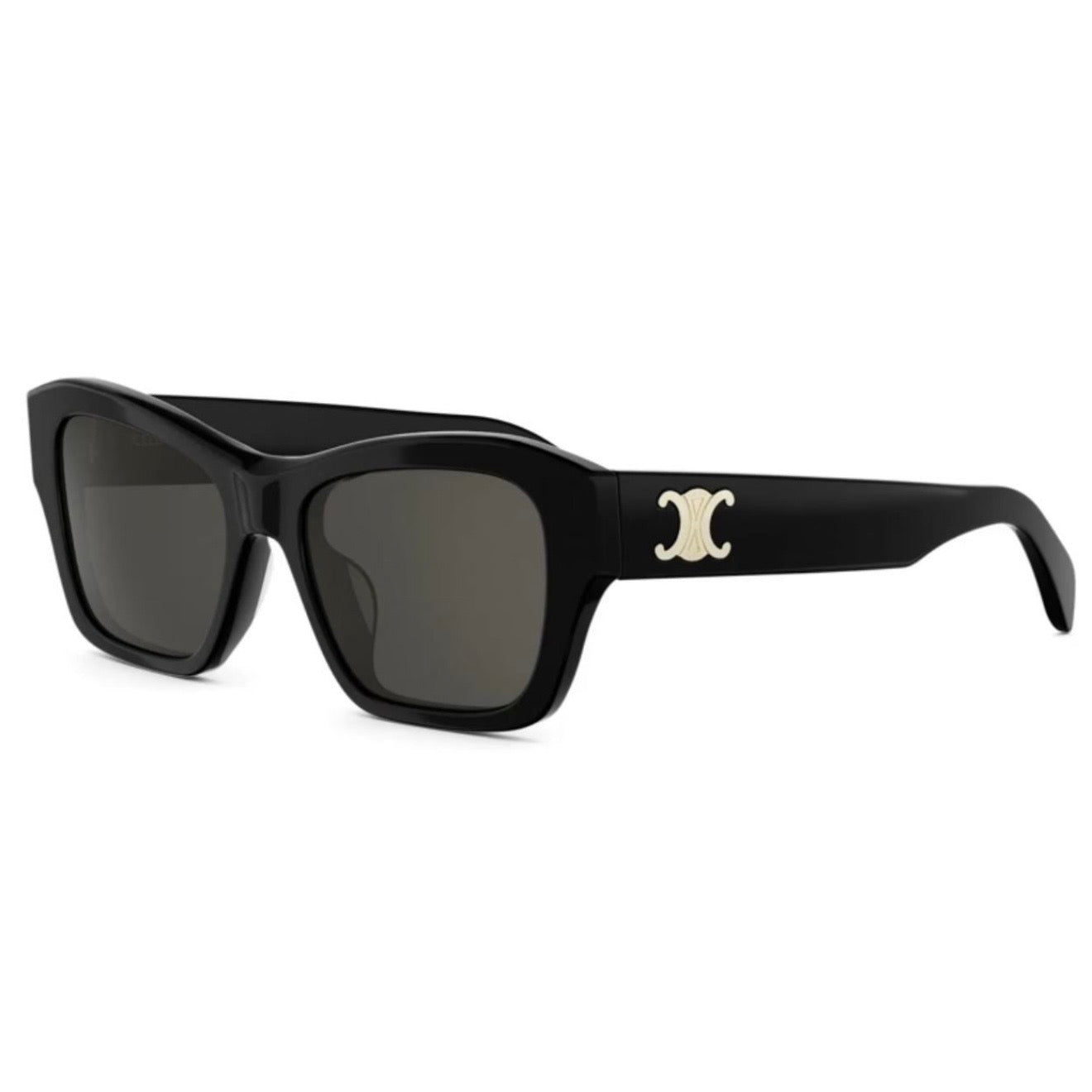 Celine CL 40330U 01A Triomphe Black