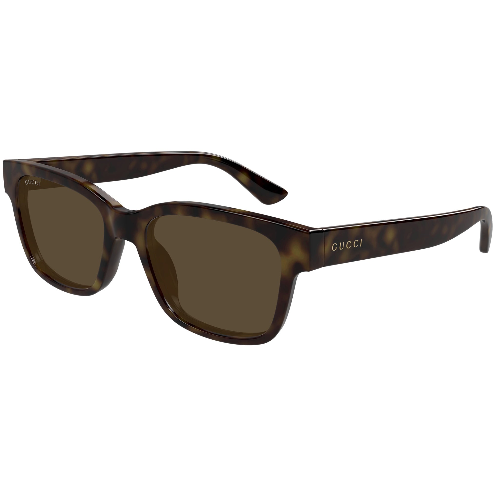 Gucci GG 1716 002 Tortoise Brown