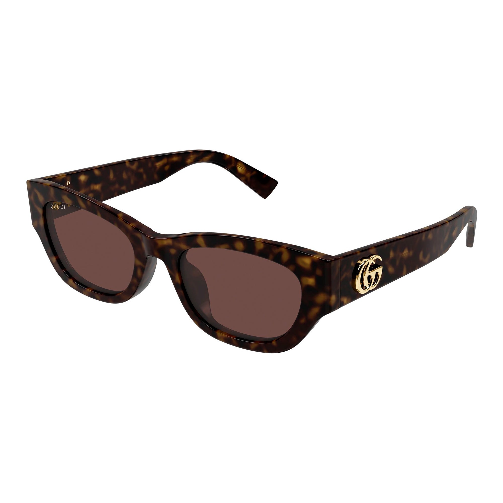 Gucci GG 1954 Havana Brown