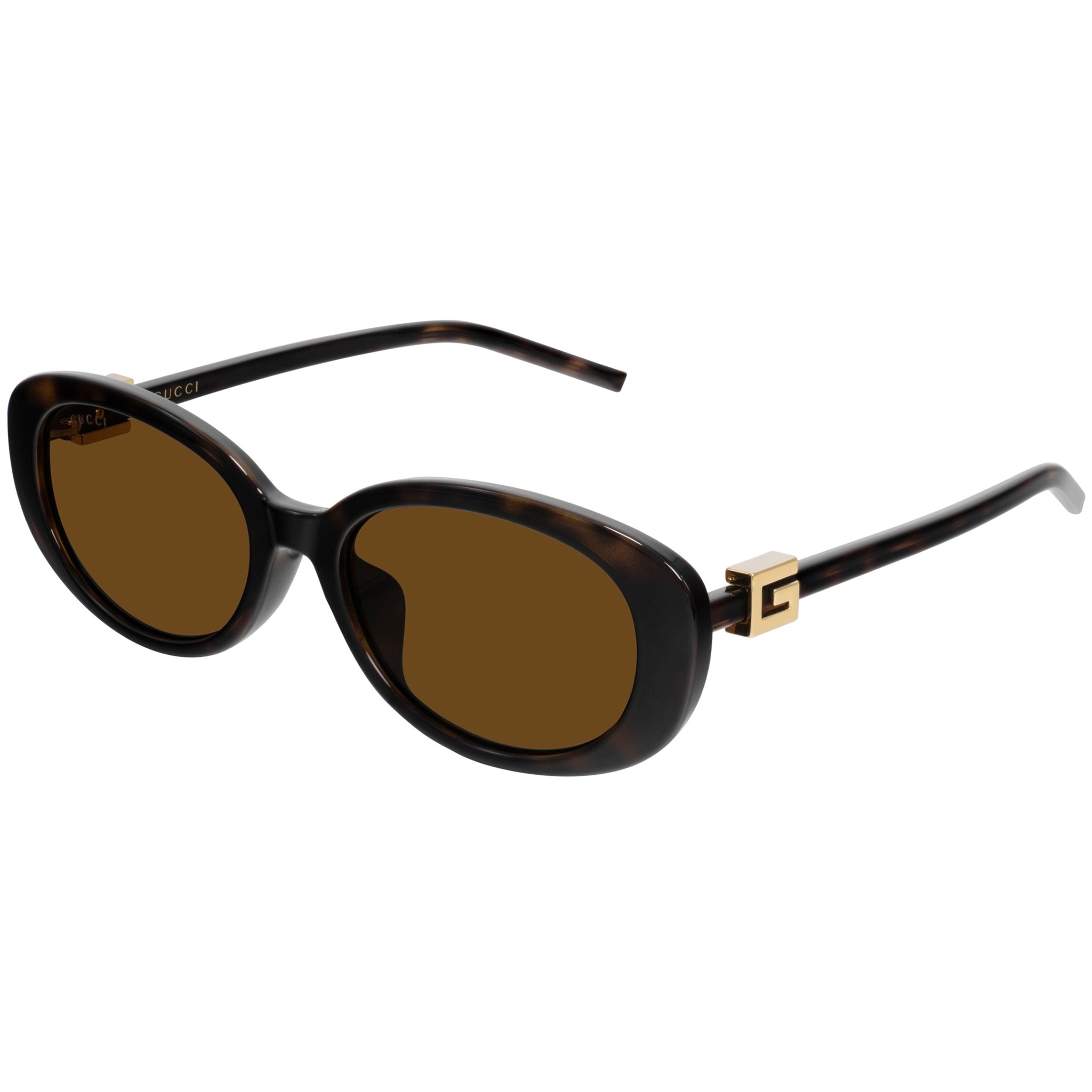 Gucci GG 1684A 004 Tortoise