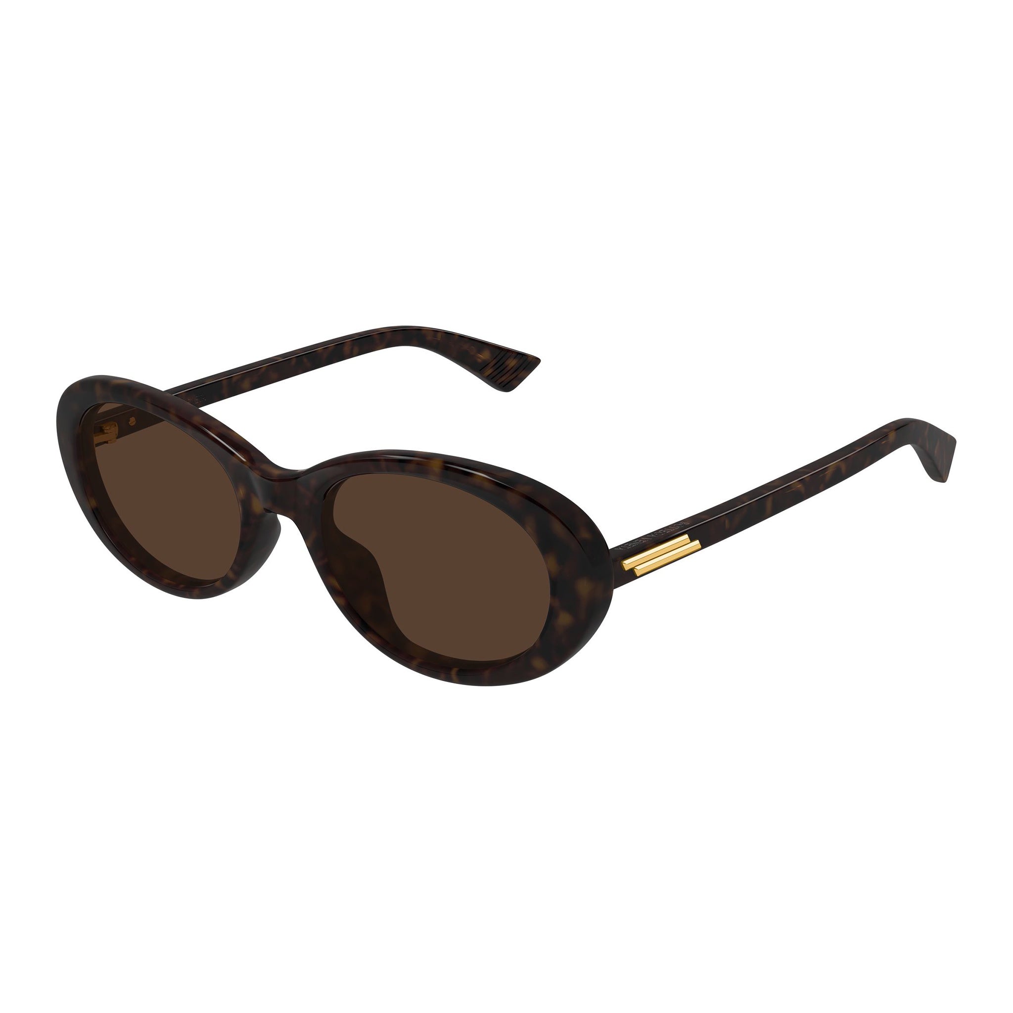 Bottega Veneta BV 1415k 002 Tortoiseshell