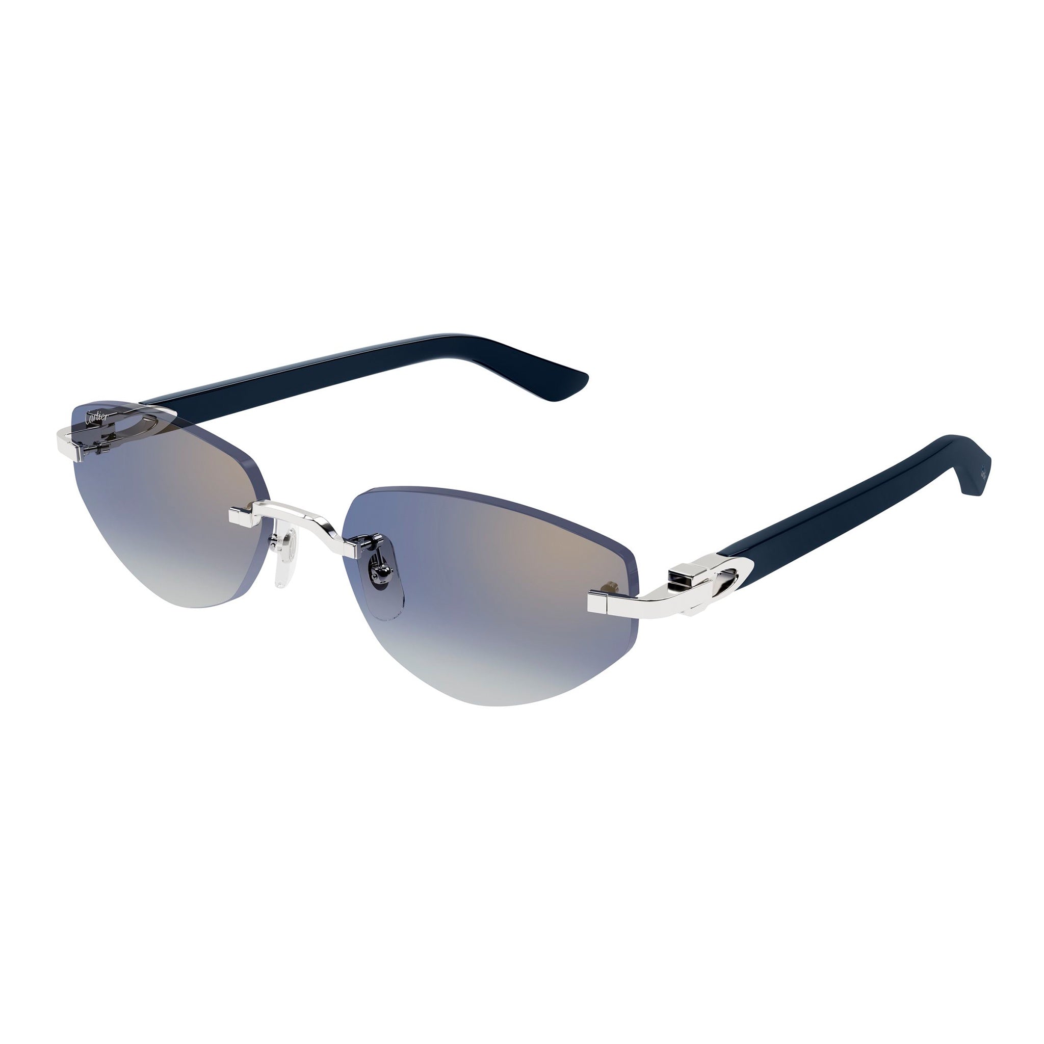 Cartier CT 0580 004Black Silver